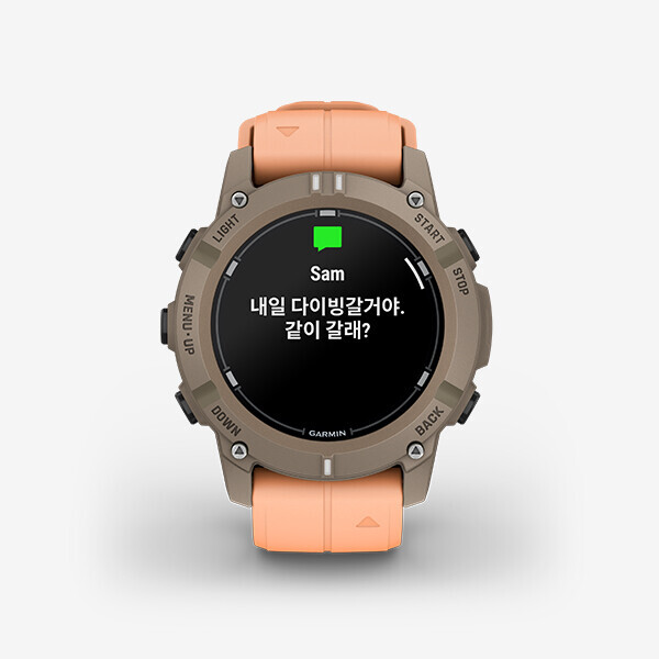 [20936] GARMIN DESCENT G2,팔로마 쉘핑크 가민 디센트 G2