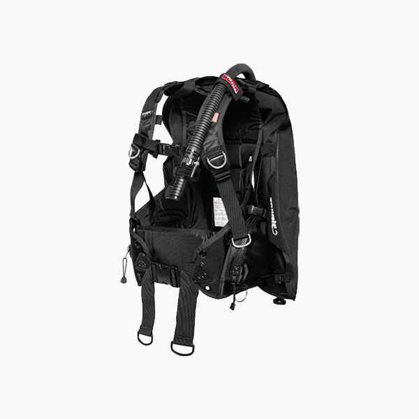 [6817] SCOUT